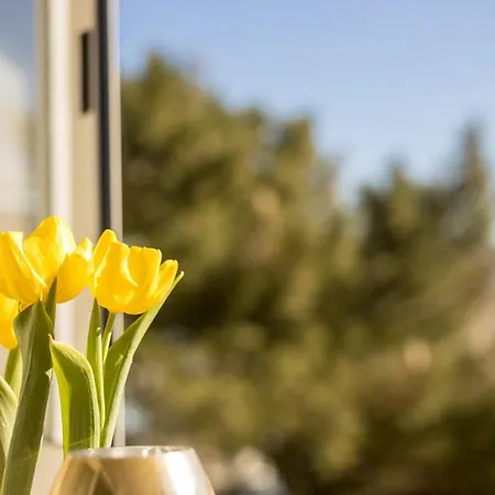In Apartament